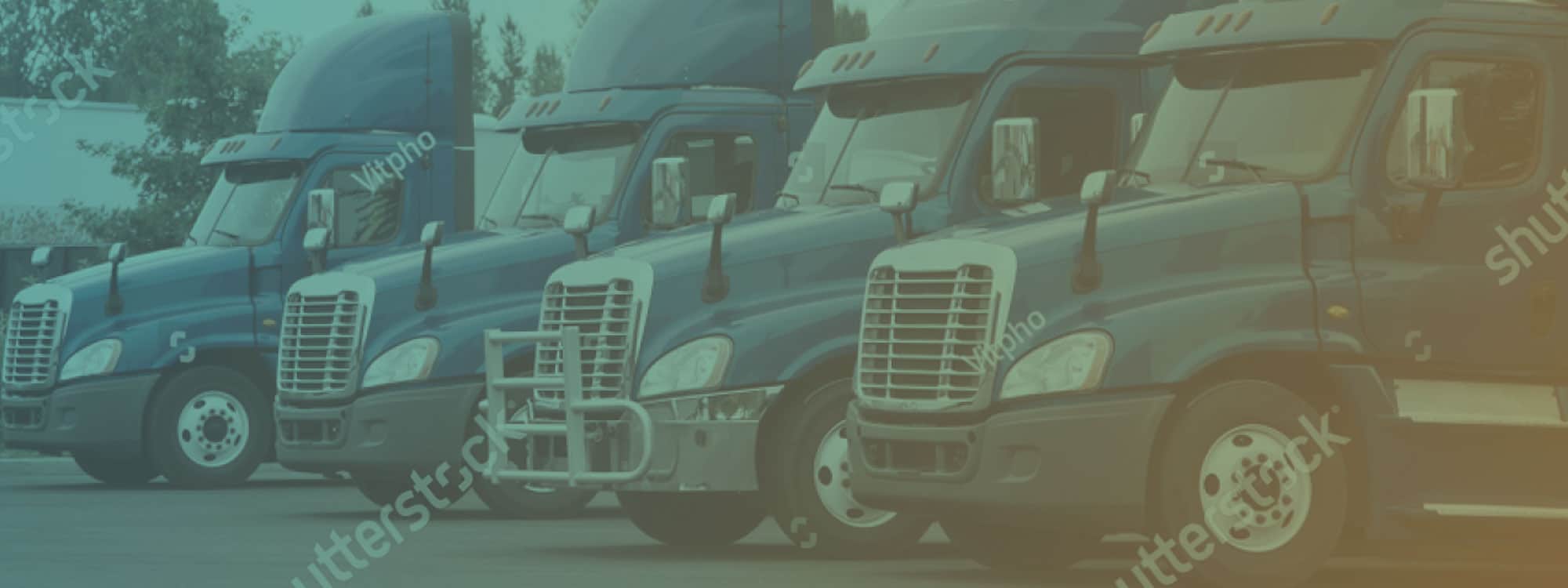 A fleet of four blue trucks parked