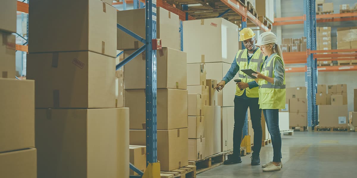 Two members of a wholesaler looking at inventory