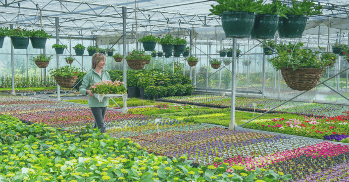 Commercial Grower Hero